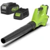 Greenworks 24 Volt Accu Bladblazer Met 4.0 Ah Accu En Lader -Tuin Hulpmiddel Winkel 12316 0 800x800 1
