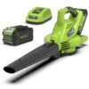 Greenworks Bladblazer/Zuiger 40V DIGIPRO Met 4.0Ah Accu En Lader -Tuin Hulpmiddel Winkel 13556 0 800x800 1