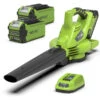 Greenworks Bladblazer/Zuiger 40V DIGIPRO Met 2x 2.0Ah Accu En Lader -Tuin Hulpmiddel Winkel 13558 0 800x800 1
