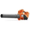 Husqvarna Accu Bladblazer 120iB Incl Accu En Lader -Tuin Hulpmiddel Winkel 16583 0 800x800 1