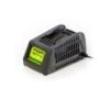 Greenworks Acculader 24Volt -Tuin Hulpmiddel Winkel 6331 0 800x800 1